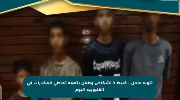 تنويه عاجل.. ضبط 3 أشخاص وطفل بتهمة تعاطي المخدرات في القليوبية اليوم